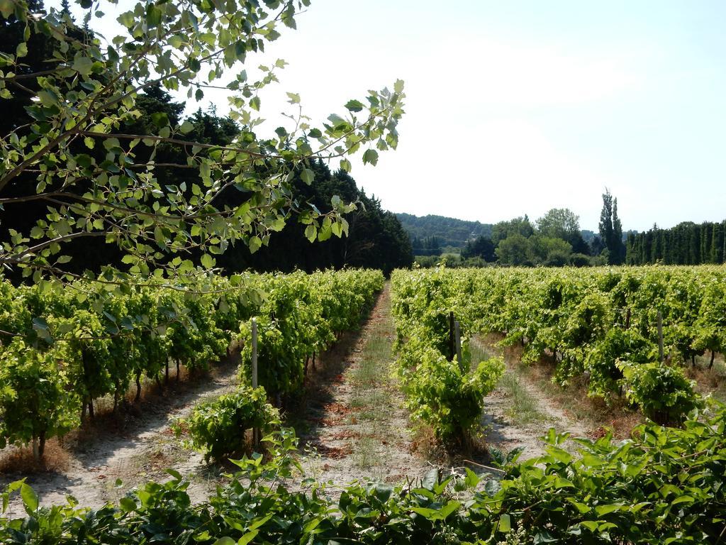 Domaine De Blanche Fleur Otel Châteauneuf-de-Gadagne Dış mekan fotoğraf