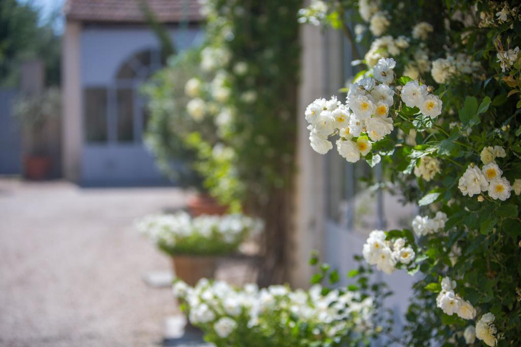 Domaine De Blanche Fleur Otel Châteauneuf-de-Gadagne Dış mekan fotoğraf