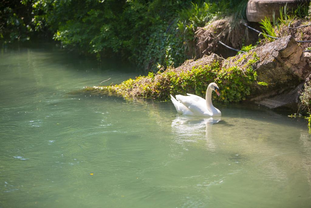 Domaine De Blanche Fleur Otel Châteauneuf-de-Gadagne Dış mekan fotoğraf